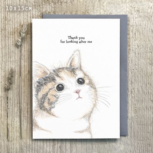 cat-cardthank-you-for-looking-after-me
