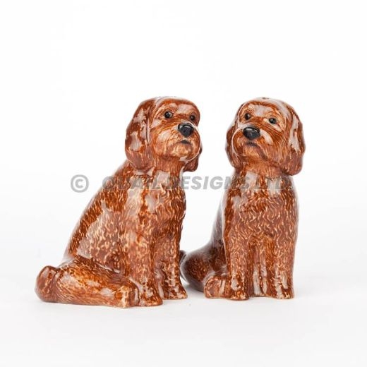 cockapoo-salt-and-pepper-red