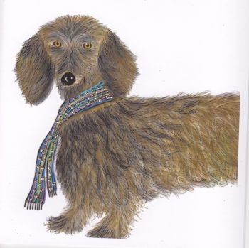 dachshund-stripe-scarf