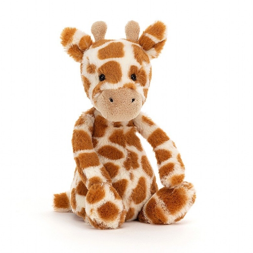 bashful-giraffe-small