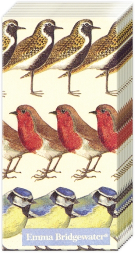 birds-pocket-tissues