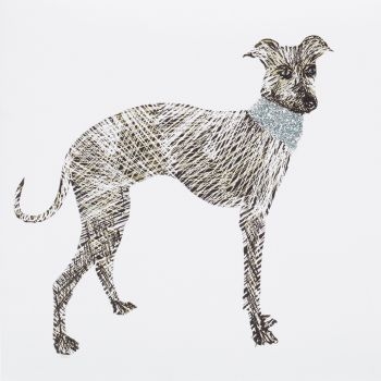 dog-glitter-greyhound