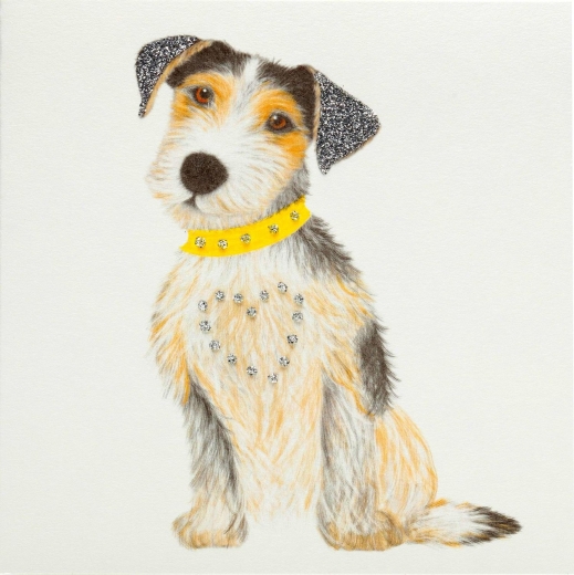jack-russell