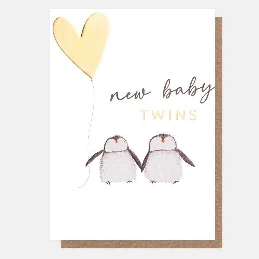 new-baby-twins-penguins