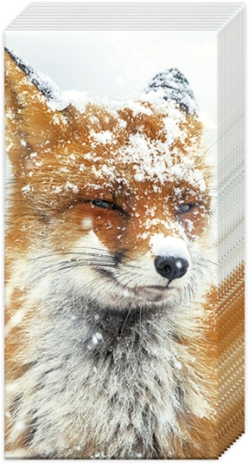 winter-fox-pocket-tissues